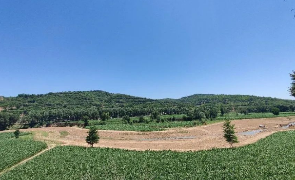 市產(chǎn)投集團(tuán)上半年項(xiàng)目建設(shè)進(jìn)展順利(圖12) 市產(chǎn)投集團(tuán)上半年項(xiàng)目建設(shè)進(jìn)展順利(圖12)