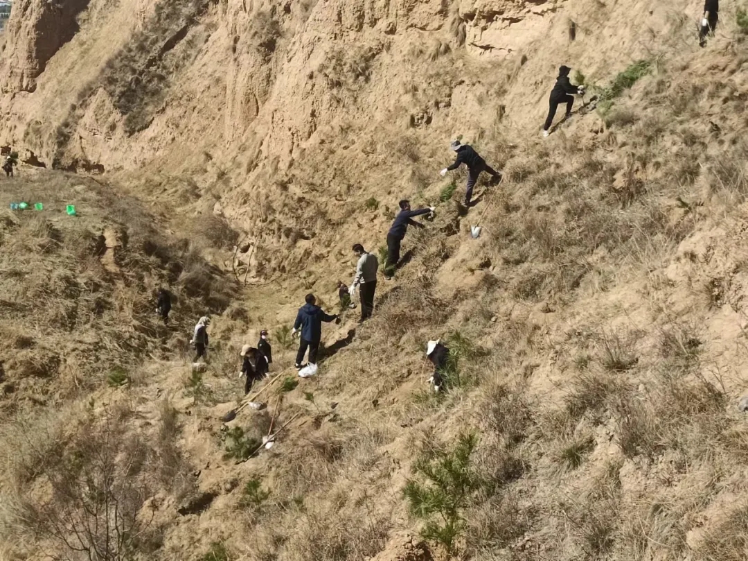 市產(chǎn)投集團開展義務植樹活動(圖2) 市產(chǎn)投集團開展義務植樹活動(圖2)